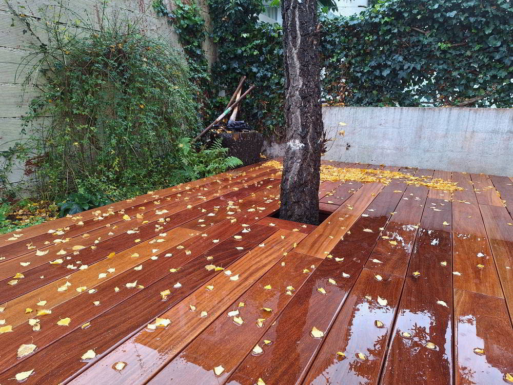 Terrasse en bois exotique avec encadrement sur-mesure et élégant d'un arbre